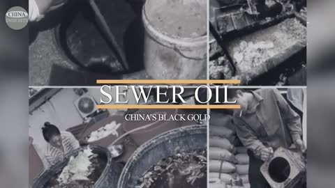 SEWER OIL GUTTER OIL USED EVERYDAY IN FOOD! Oil processed from raw sewage - WIDE