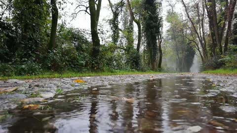 Watch the beautiful nature in winter with raindrops