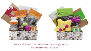 Holiday Gift for Dogs and Cats