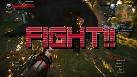 Witcher in Mortal Kombat