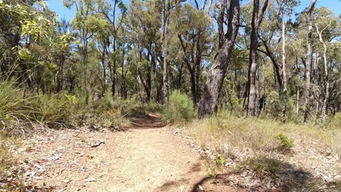 Mount Dale Shelter on the Bibbulmun Track