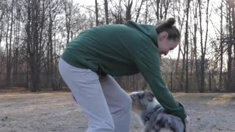 Dog training how to jump in your back #viral