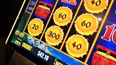 Dachshund Has Beginner's Luck at Casino