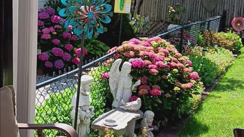 Hydrangea and spinner