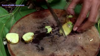 Catch and cook crocodile to survive in the jungle - survival skills