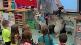 Kids Sing 'Happy Birthday' To School's Therapy Dog