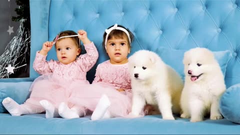 Adorable Puppies and Babies Playing Together #puppy #youtubeshorts #viralvideo #viralshort