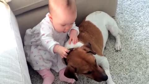 This dog used to be terrified of children! But he can't get enough of his baby sister!