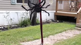 First attempt at a spring loaded Halloween decoration