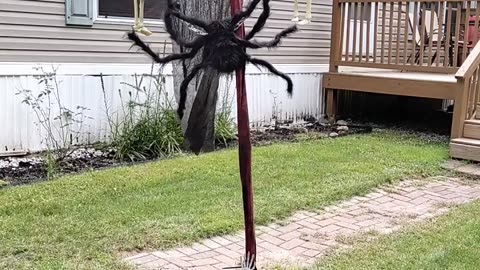 First attempt at a spring loaded Halloween decoration