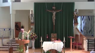 Homily for the 23rd Sunday in Ordinary Time "A"