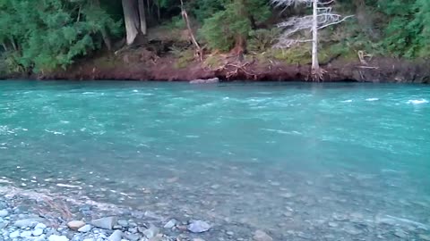 Eel river at Richardson grove state park