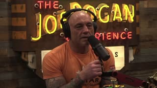 Joe Rogan: How Many Lives Could Have Been Saved if the Authorities Told the Truth About Vitamin D?