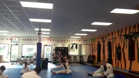 Taekwondo & Judo Class