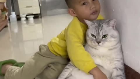 Cute cat and little boy