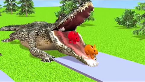 3D animation videos for animals