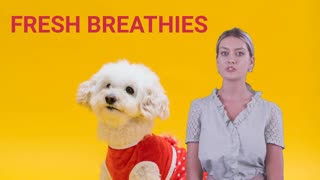 Bad doggy breath is a ticking time bomb (do THIS)