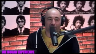 Joe Rogan Experience #582 - David Seaman.MP4