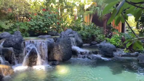 Polynesian Waterfall & Pond
