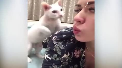 violent cats attacking their owners compilation