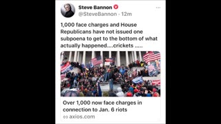 Steve Bannon - Crickets