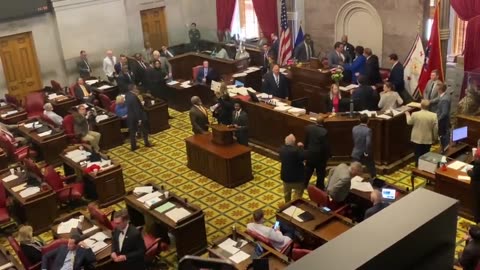 Gun-control Lefitsts STORM Tennessee Capitol