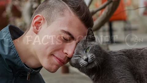 Did You Know? CAT HEADBUTT || RANDOM, AMAZING and INTERESTING FACTS AROUND THE WORLD