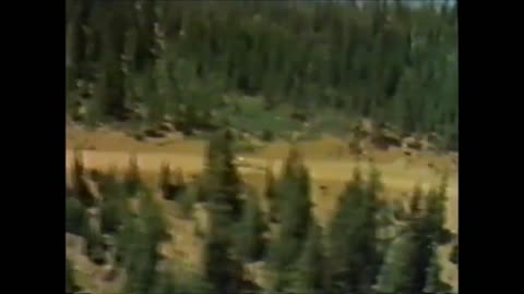 Pikes Peak Hill Climb 1985 - Michèle Mouton / Audi Sport Quattro S1 Record Run