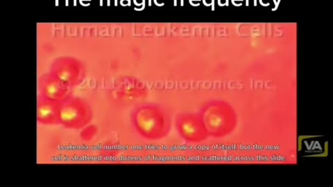 THE MAGIC FREQUENCIES SMASHES CANCER CELLS