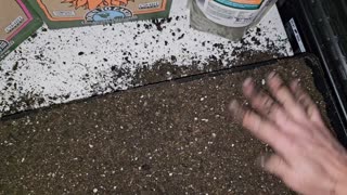 Filling Trays of Peat Pot Cells with Homemade Organic Seed-Starting Mix 04/08/2024