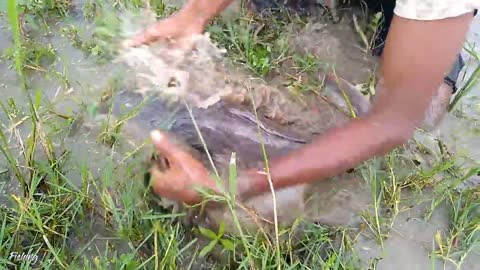 Amazing Hole Fish Trap- Smart Boy Build Fish Trap By Muddy soil ..