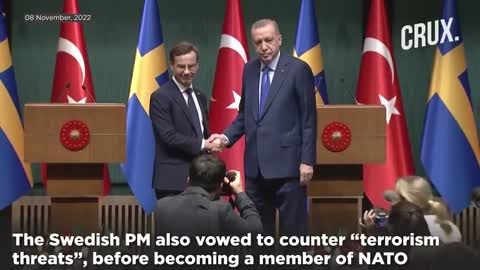 Russia Ukraine War | Turkey President Erdogan Demands "Concrete Steps" To Support Sweden's NATO Bid