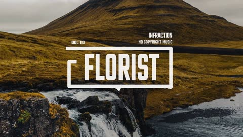 Documentary Cinematic Violin by Infraction [No Copyright Music] / Florist