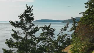 San Juan Island/Friday Harbor, WA