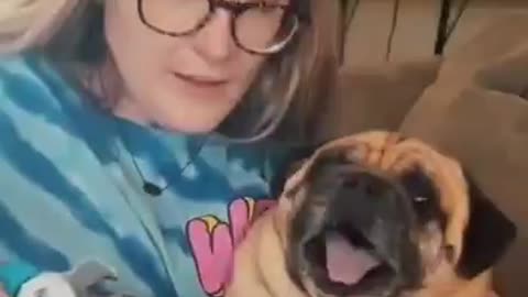 Funny dog video