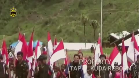 KKB PAPUA TERANCAM TENTARA ISLANDIA & TNI AKAN LAKUKAN INI - TAPAL KUDA REBORN