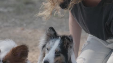 Women Playing with Two Pet Dogs