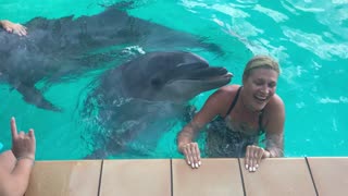 Dolphin Elated By Kisses