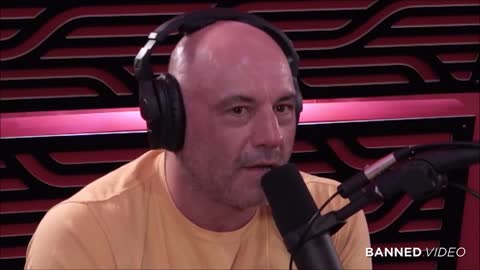 Incredible Joe Rogan Alex Jones 'LOVE' Satire Piece