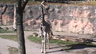 2005 Zoo Trip