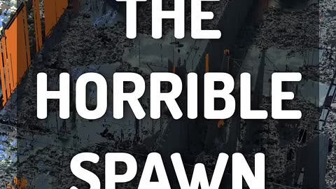 Types of Spawns in Minecraft