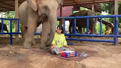 This young lady has a truly fantastic bond with this elephant.