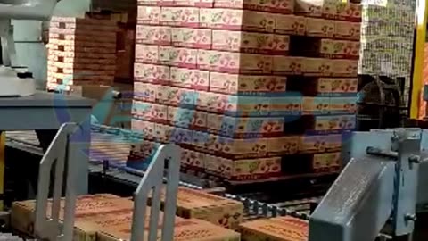 Robot palletizing system for cartons