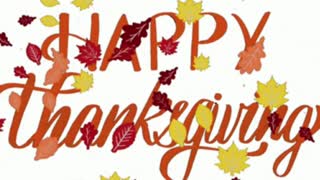 Happy Thanksgiving!