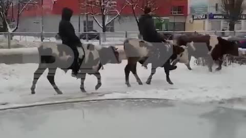 The horsemen of the apocalypse in Russia look something like this.