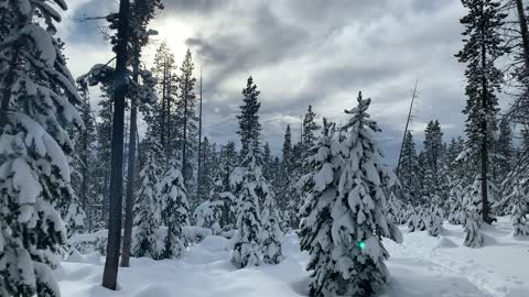 Vibrant Storm Clouds – Central Oregon – Vista Butte Sno-Park – 4K