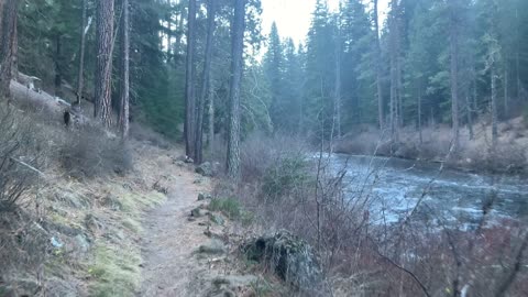 Starting Our 13.5 Mile Hike – Metolius River – Central Oregon – 4K