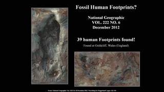 Fossil Human Tracks Found