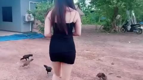 Beautiful asian lady feeds chickens