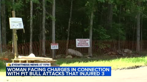 Mother, son attacked by pack of dogs while walking near Jordan Lake ABC News